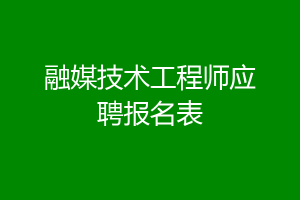 融媒技术工程师应聘报名表