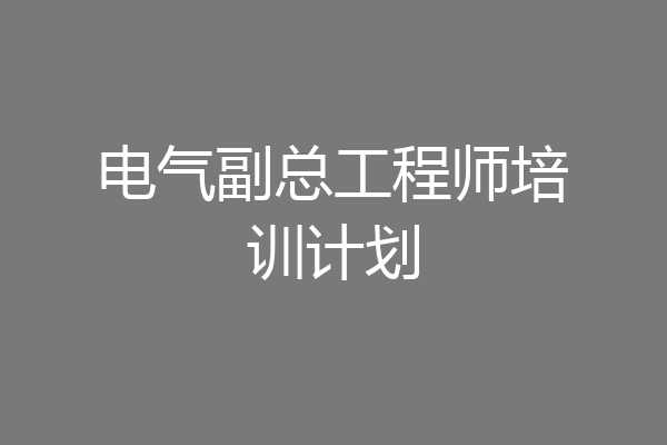 电气副总工程师培训计划