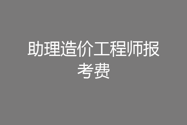 助理造价工程师报考费