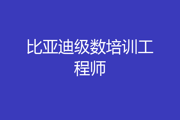 比亚迪级数培训工程师