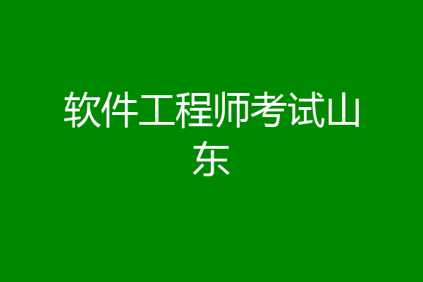 软件工程师考试山东