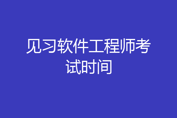 见习软件工程师考试时间