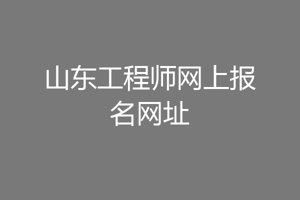 山东工程师网上报名网址