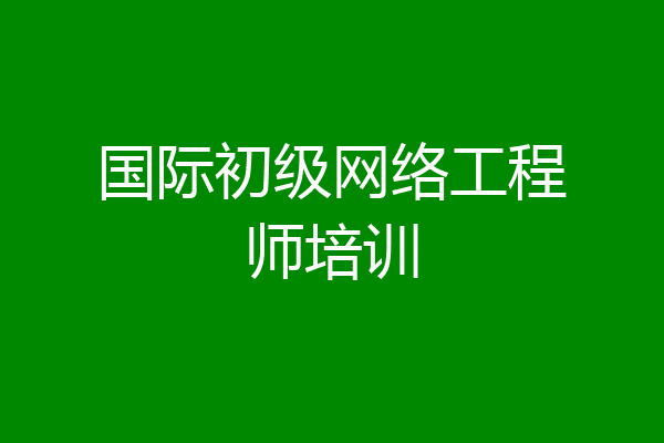 国际初级网络工程师培训
