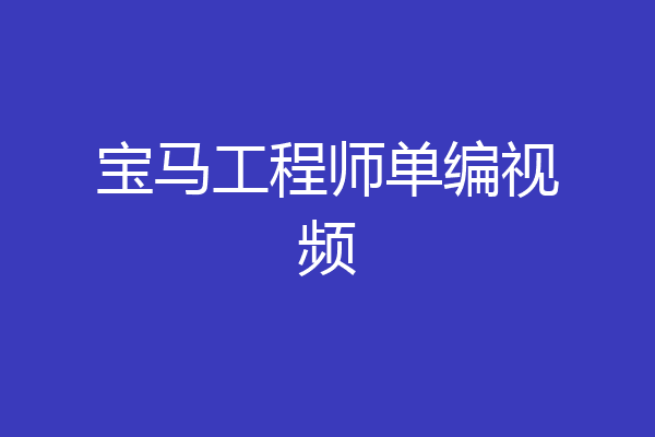 宝马工程师单编视频