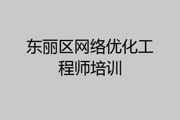 东丽区网络优化工程师培训