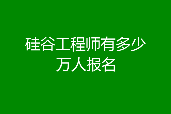 硅谷工程师有多少万人报名