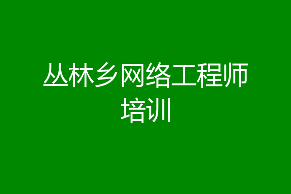 丛林乡网络工程师培训
