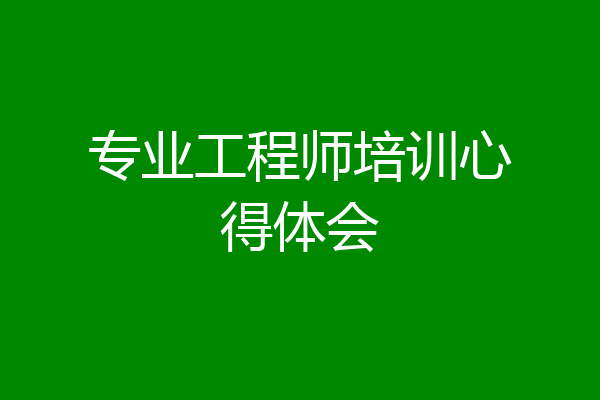 专业工程师培训心得体会