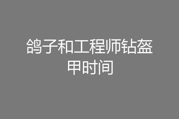 鸽子和工程师钻盔甲时间