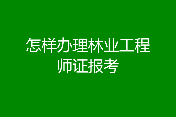 怎样办理林业工程师证报考
