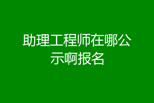 助理工程师在哪公示啊报名