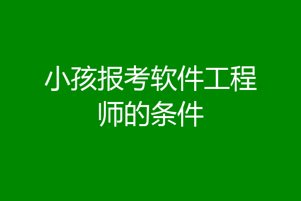小孩报考软件工程师的条件