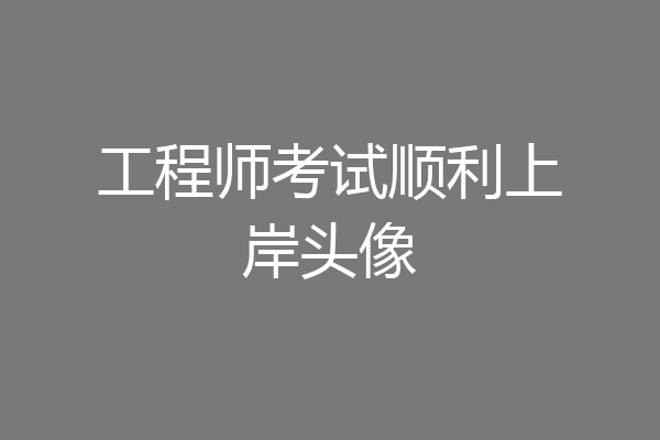 工程师考试顺利上岸头像