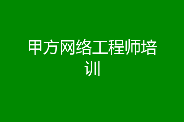 甲方网络工程师培训