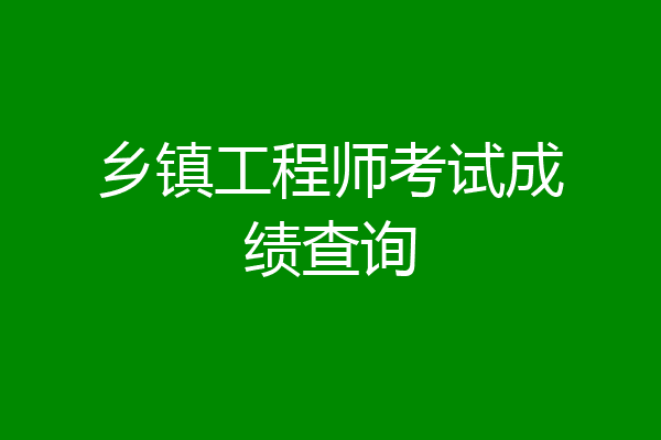 乡镇工程师考试成绩查询