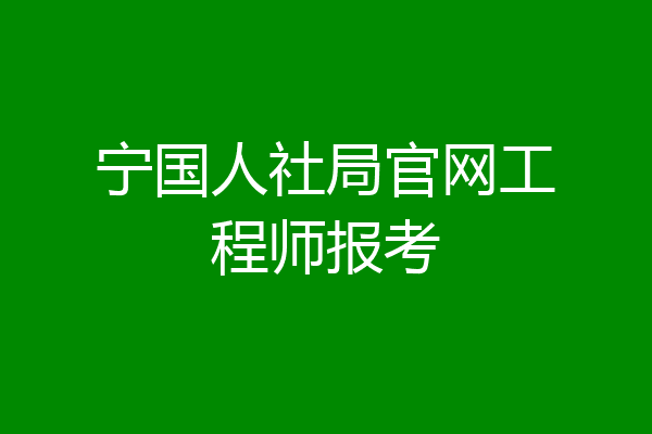 宁国人社局官网工程师报考