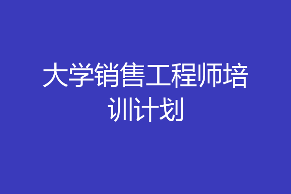 大学销售工程师培训计划