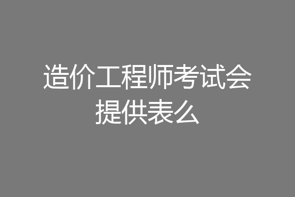 造价工程师考试会提供表么