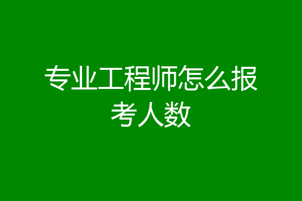 专业工程师怎么报考人数