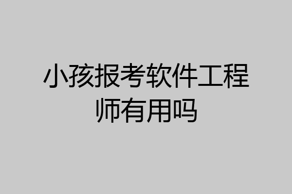小孩报考软件工程师有用吗