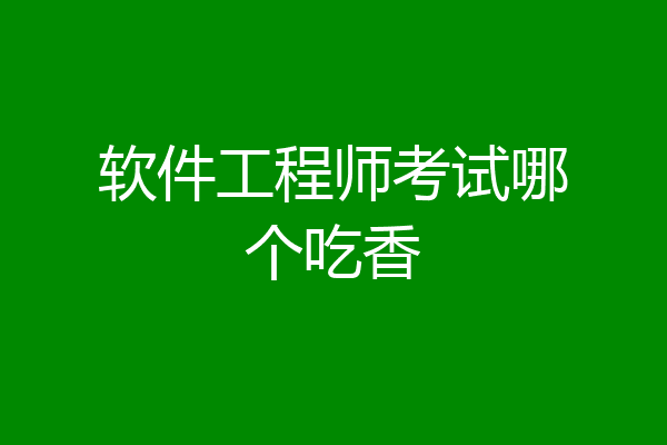 软件工程师考试哪个吃香