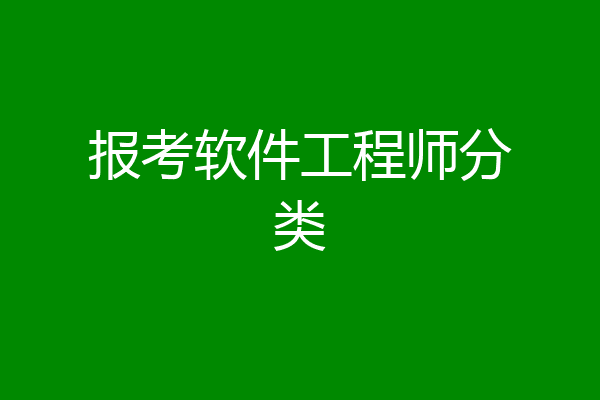 报考软件工程师分类
