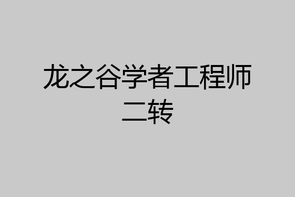 龙之谷学者工程师二转