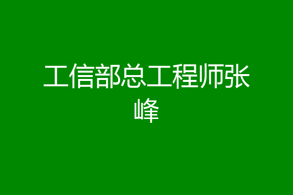 工信部总工程师张峰