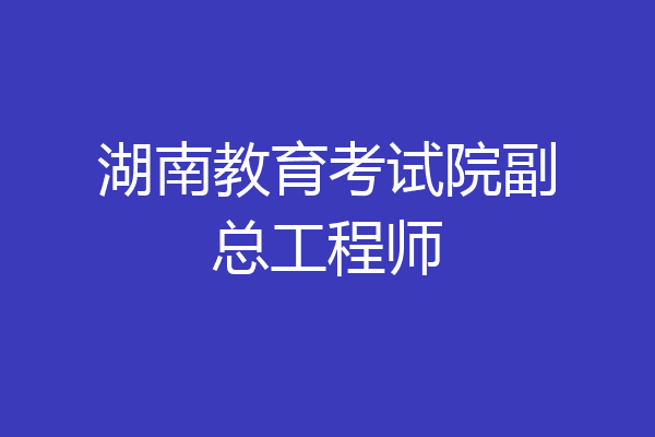 湖南教育考试院副总工程师