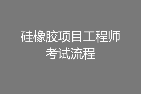 硅橡胶项目工程师考试流程