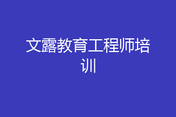 文露教育工程师培训