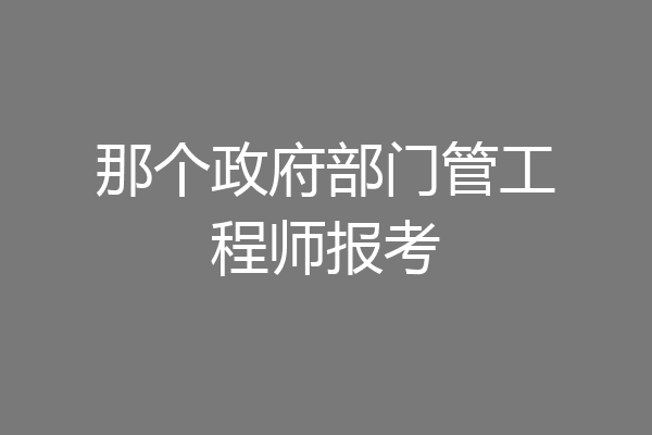 那个政府部门管工程师报考
