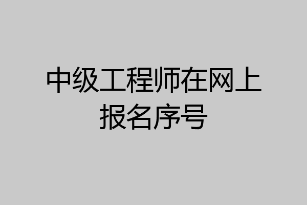 中级工程师在网上报名序号