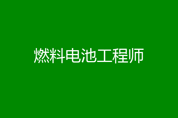 燃料电池工程师