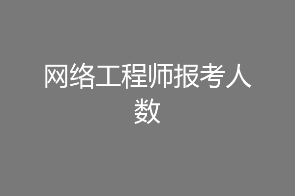 网络工程师报考人数
