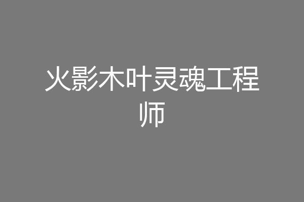 火影木叶灵魂工程师