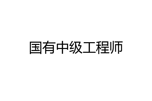 国有中级工程师