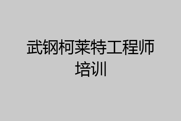 武钢柯莱特工程师培训
