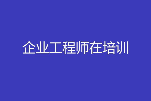 企业工程师在培训