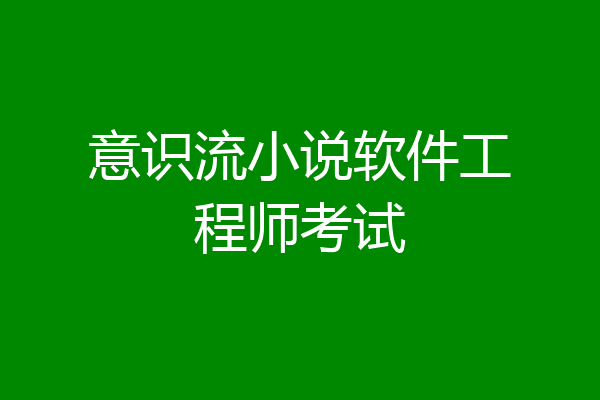 意识流小说软件工程师考试