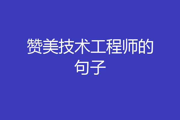 赞美技术工程师的句子