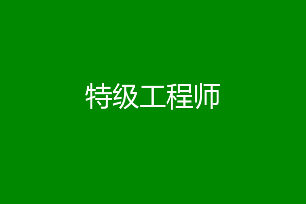 特级工程师