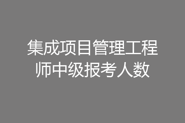 集成项目管理工程师中级报考人数