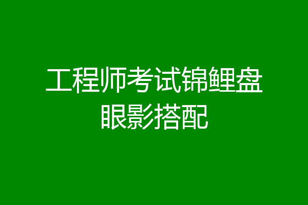 工程师考试锦鲤盘眼影搭配