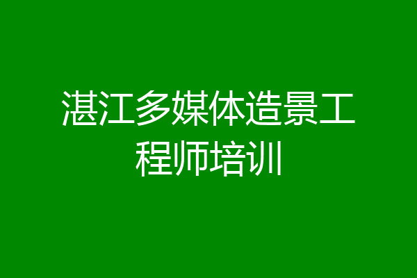 湛江多媒体造景工程师培训