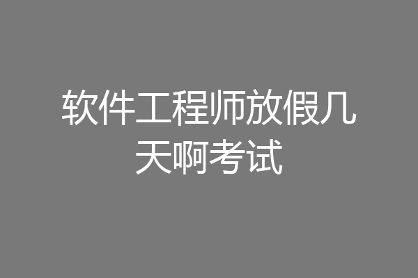 软件工程师放假几天啊考试