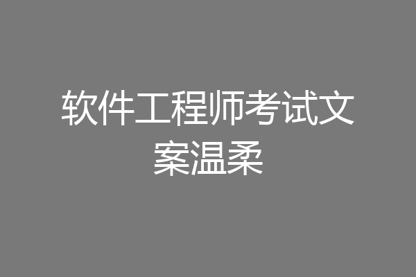 软件工程师考试文案温柔