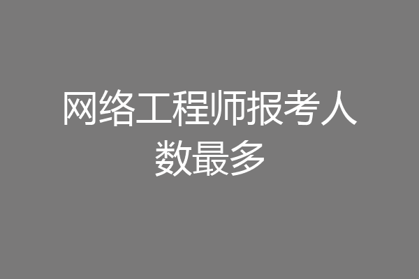 网络工程师报考人数最多