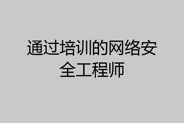 通过培训的网络安全工程师